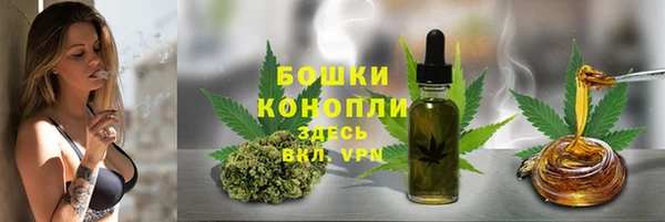 прущие крисы Балахна