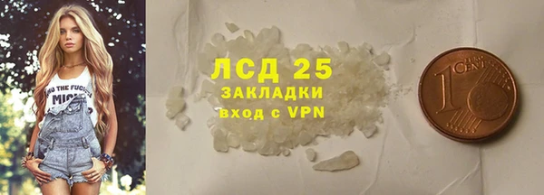 прущие грибы Баксан