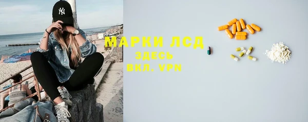 прущие грибы Баксан