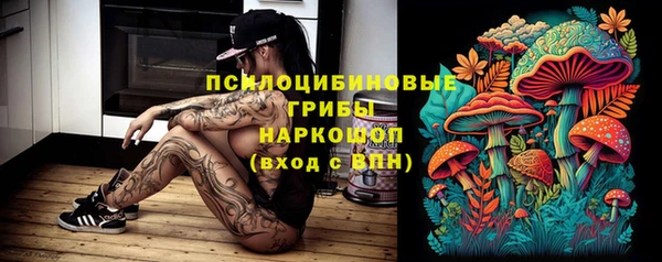 прущие крисы Балахна