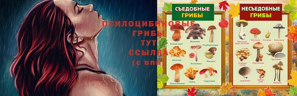 прущие крисы Балахна