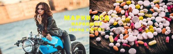 прущие грибы Баксан