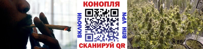 Бошки Шишки планчик  наркошоп  Обь 